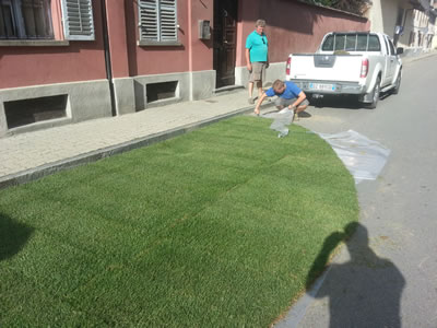 Prato a rotoli esempo lavoro