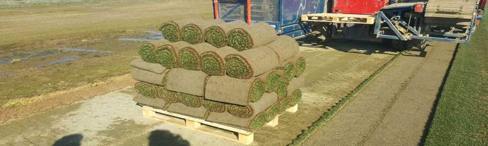 Il-Patro-A-Rotoli-03.jpg