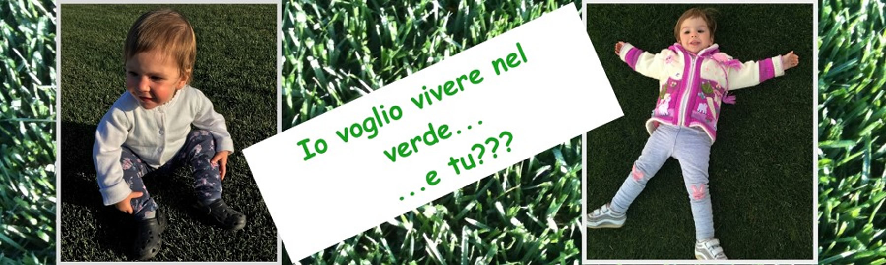 Il-Patro-A-Rotoli-Verde.jpg